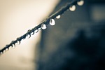 dripping, water dripping, clothes line
