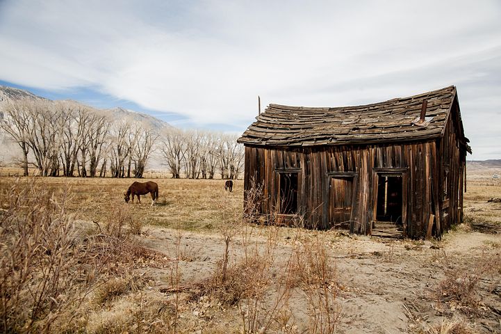 800+ Free Old Barn &amp; Barn Images - Pixabay