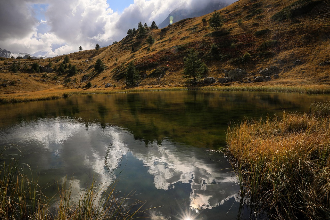 Sea Eye - free online jigsaw puzzle photo