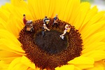 miniature, ho2, figures