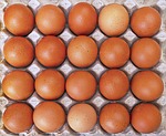 egg, range eggs, lots of eggs