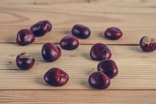 Free Chestnuts Autumn photo and picture