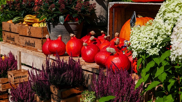 Free Fall Pumpkin photo and picture