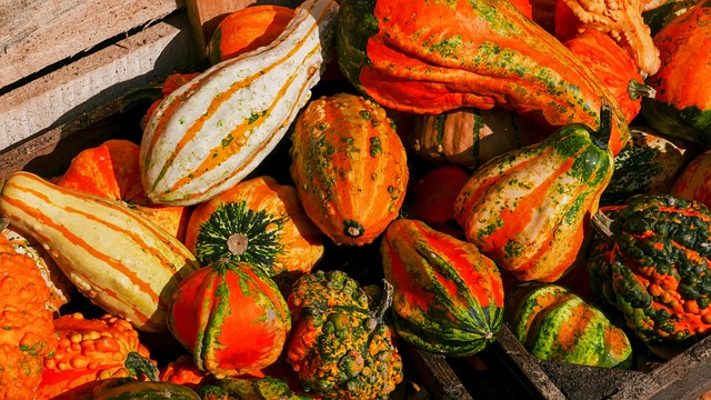 Free Fall Pumpkin photo and picture