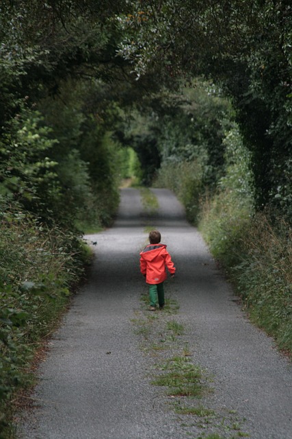 Free Child Path photo and picture