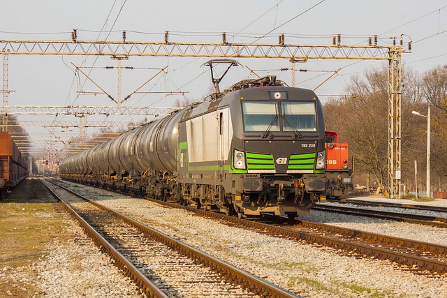 Circuit De Train En Bois Legler - 140 Pièces - Avec Rails, Aiguillages, Arbres Et Bâtiments