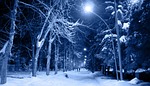 night, snow, frost