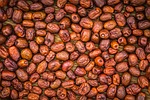 jujube, autumn, fruit