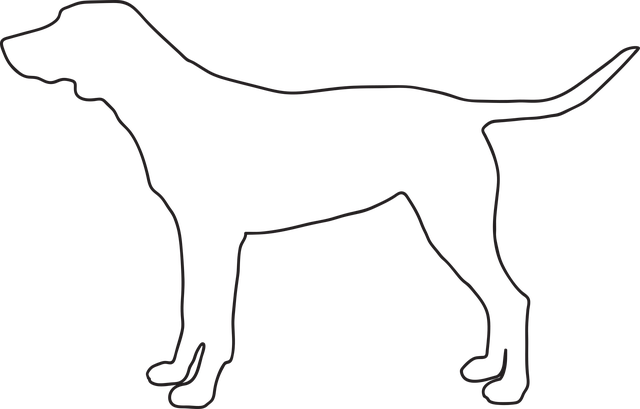 Download free HD stock image of Dog Doggy Free dog doggy animal vector