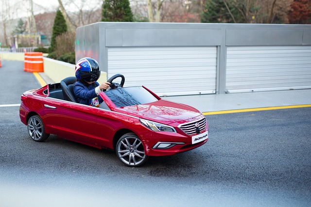 Free Sonata Car photo and picture