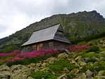 tatry, valley of five ponds, mountains