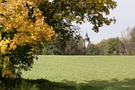 autumn, meadow, mowed