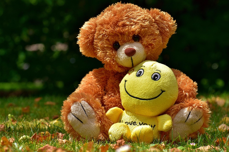 Teddy Stuffed Animal Funny - Free photo on Pixabay