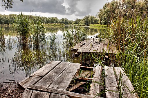 See, Natur, Schilf, Wasser, Steg, Biotop