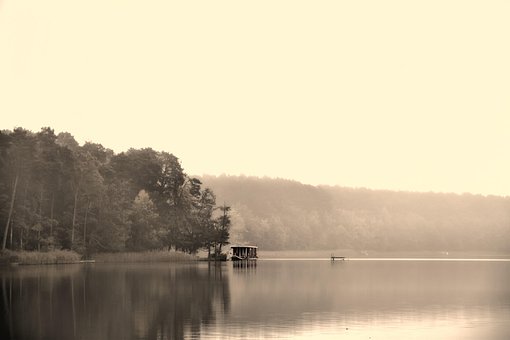 Hausboot, Herbst, Natur, See, Nebel