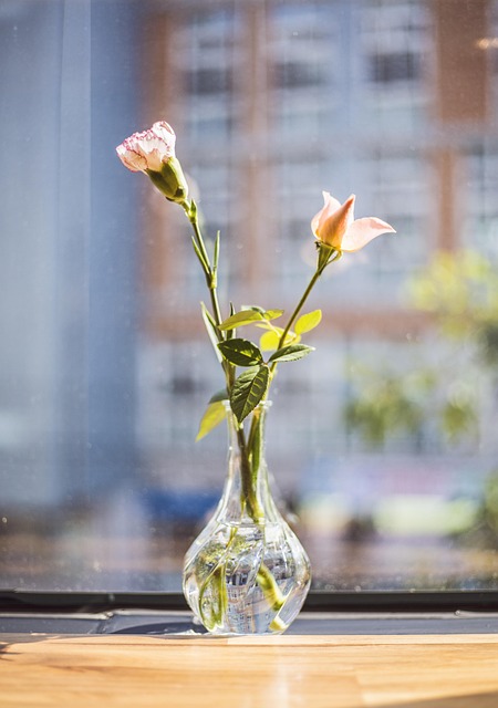 Free Flower Beautiful Flowers photo and picture