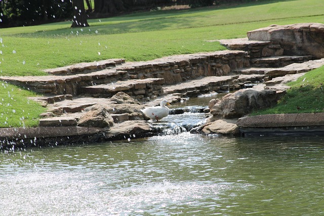 Free Japanese Garden Bartlett photo and picture