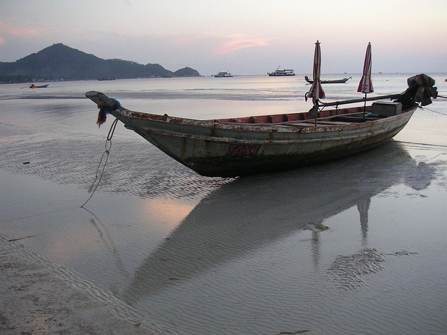 Free Beach Reflection photo and picture