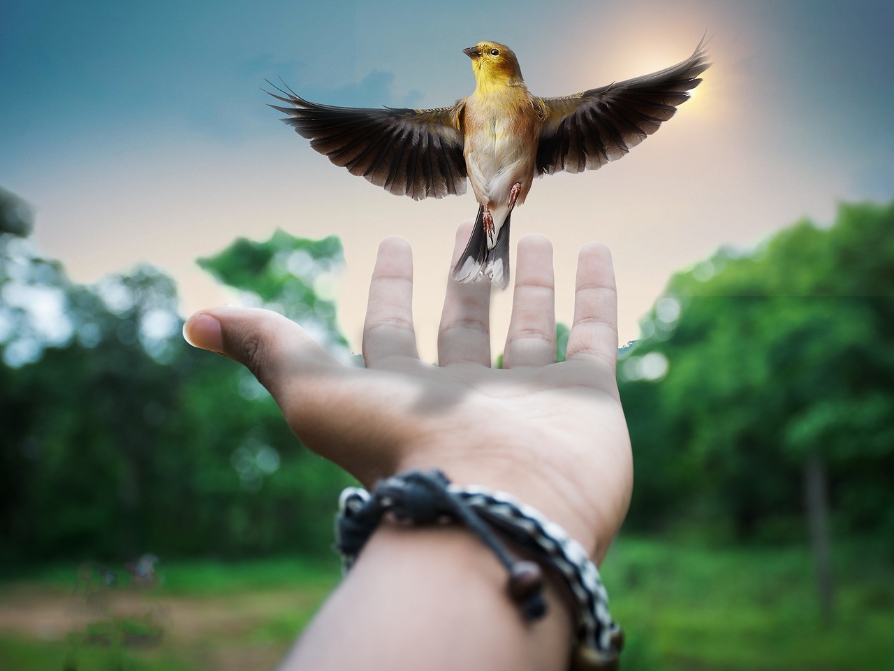 Download free HD stock image of Creative Surreal Free Creative Surreal photo and picture