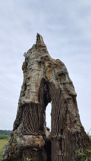 Free Arch Nature photo and picture