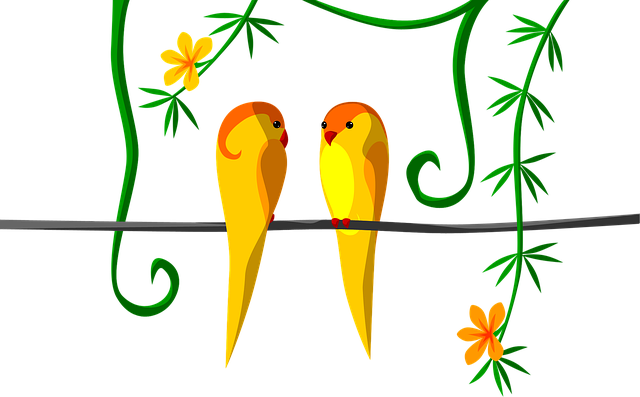 Free parrot pair jungle illustration