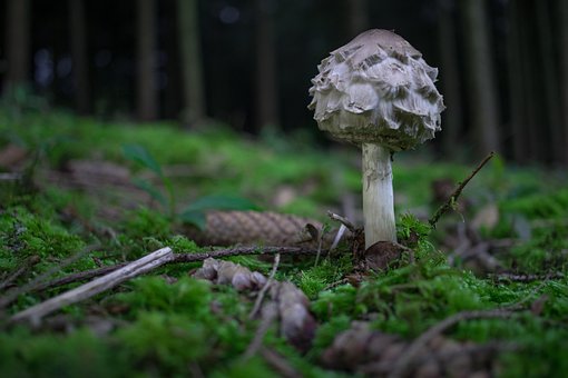 华纳国际服务官网