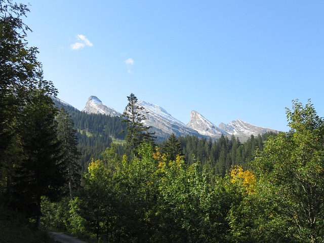Free Switzerland Mountains photo and picture