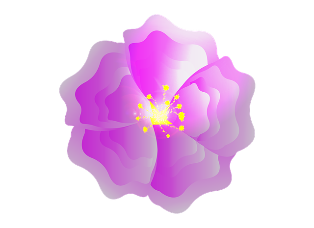 Free flower blossom bloom illustration