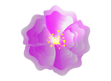 Free Flower Blossom illustration and picture