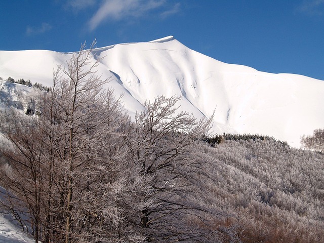 Free Snow-Capped Peaks Corno Alle Scale photo and picture