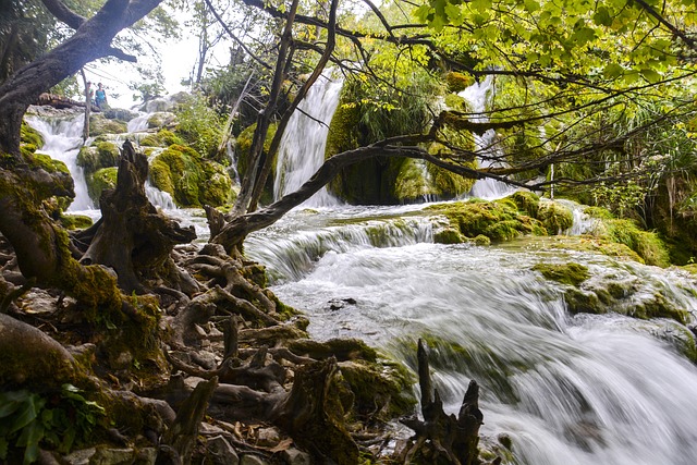 Cascada, Bosque, Medio Ambiente, Paisaje