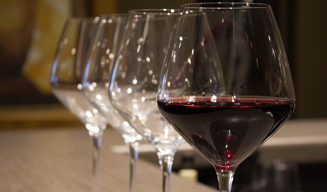 Free Wine Glass photo and picture