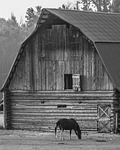 black and white, landscape, outdoor