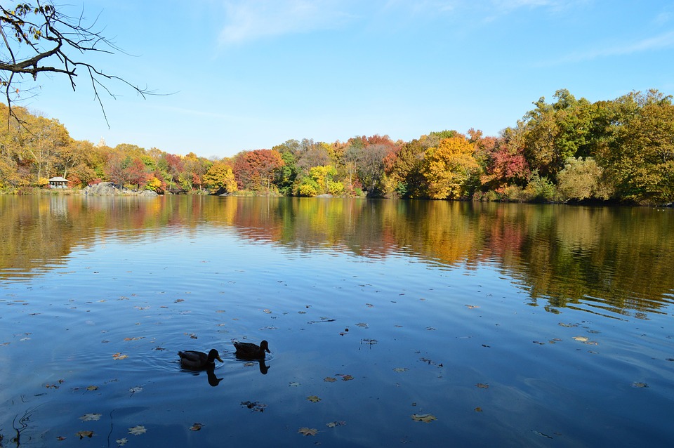 From Beaches to Mountains: The Natural Wonders Surrounding Leiria