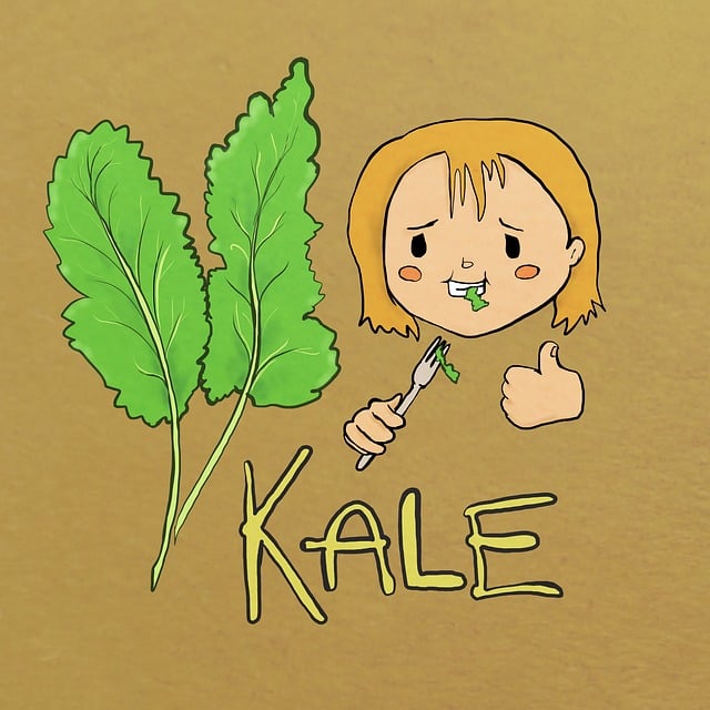 Free kale diet healthy illustration