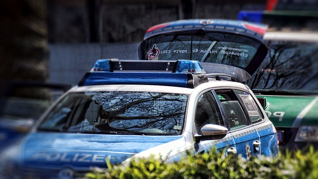 Free Police Police Operation photo and picture