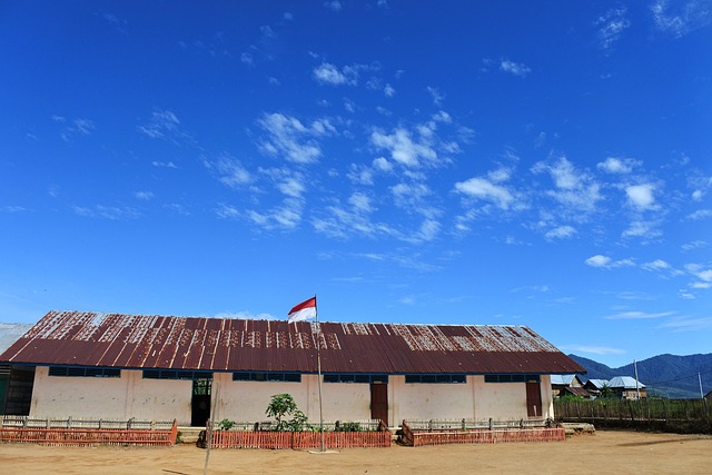 Free School Education photo and picture