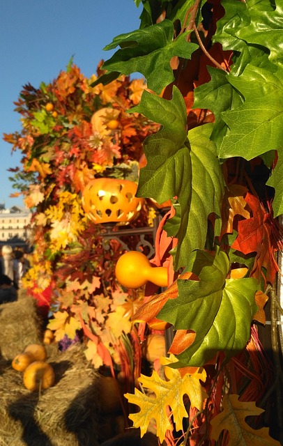 Free Autumn Moscow photo and picture
