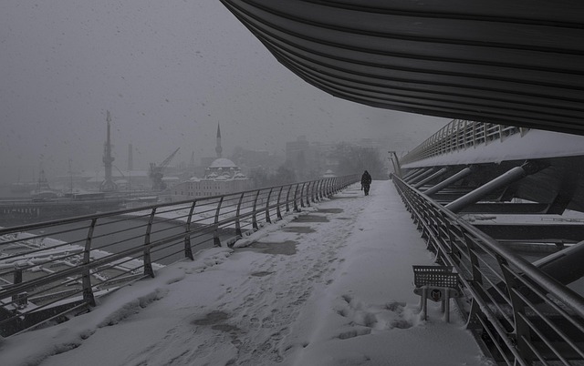 Free Snow Metro Bridge photo and picture