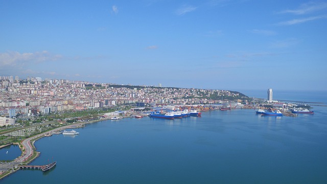 Free Samsun The First Step photo and picture