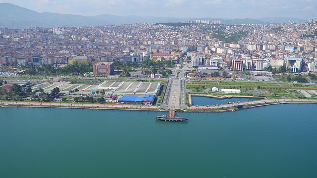 Free Samsun The First Step photo and picture