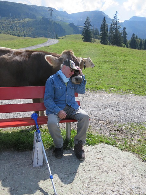 Free Switzerland Mountains photo and picture