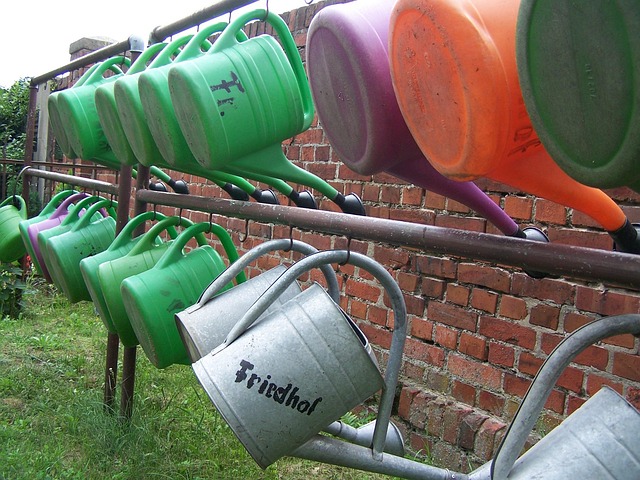 Free Watering Can Graveyard photo and picture