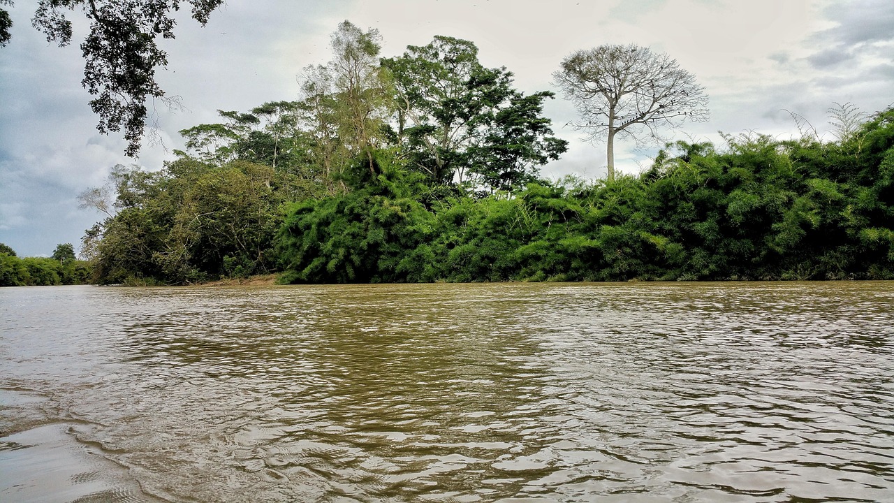 Free River Water photo and picture