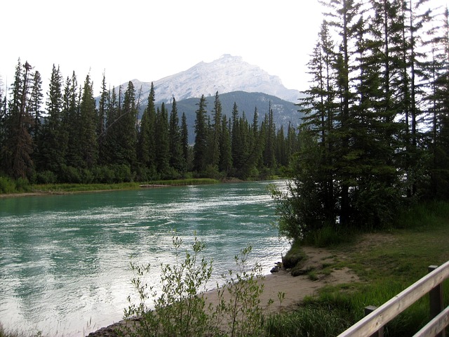 Free River River Bank photo and picture