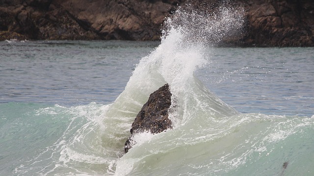 Free Rock Ocean photo and picture