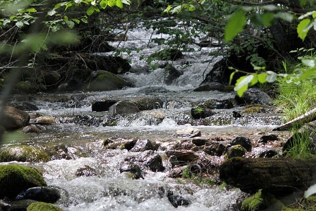Free Mountain Stream Flowing Stream photo and picture