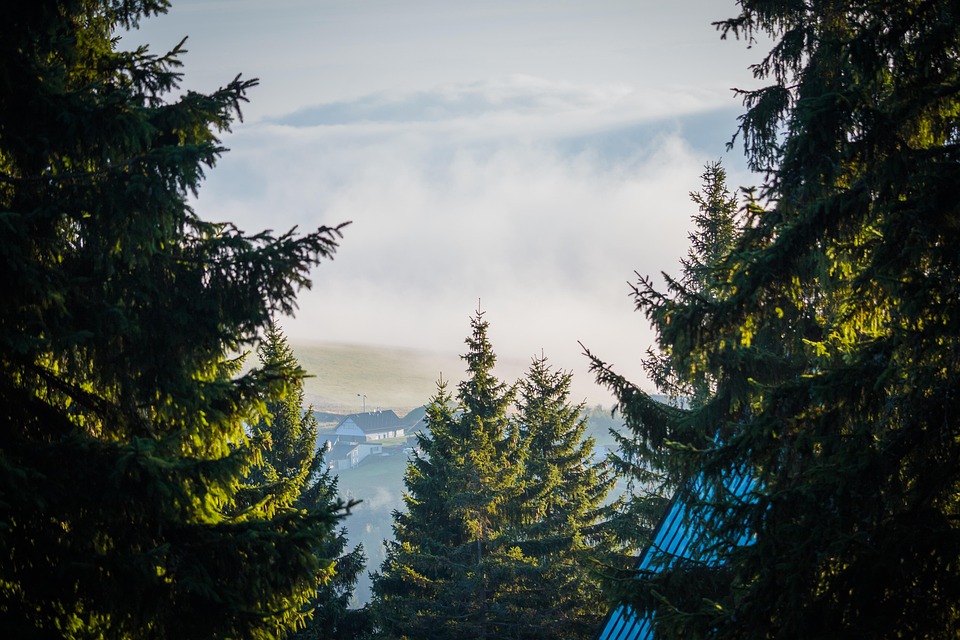 多雾路段 云 树木 - Pixabay上的免费照片 - Pixabay