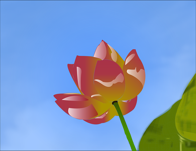 Free Flower Red vector and picture