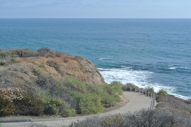 Free Pacific Ocean photo and picture